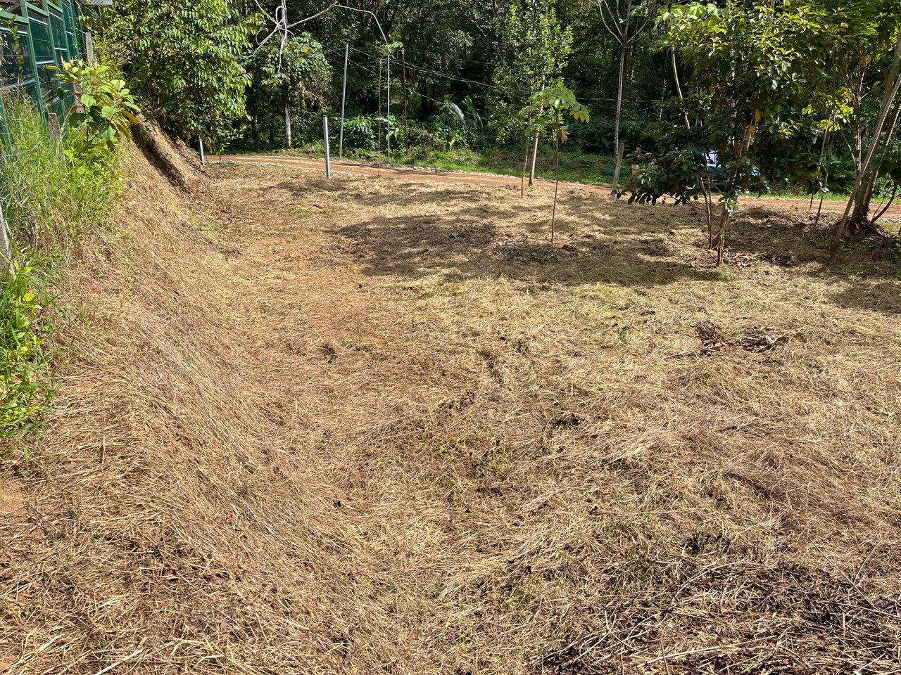 Affordable Uvita Lot UNDER $200-per-sqm - Perfect for Your Dream Home or Airbnb Investment