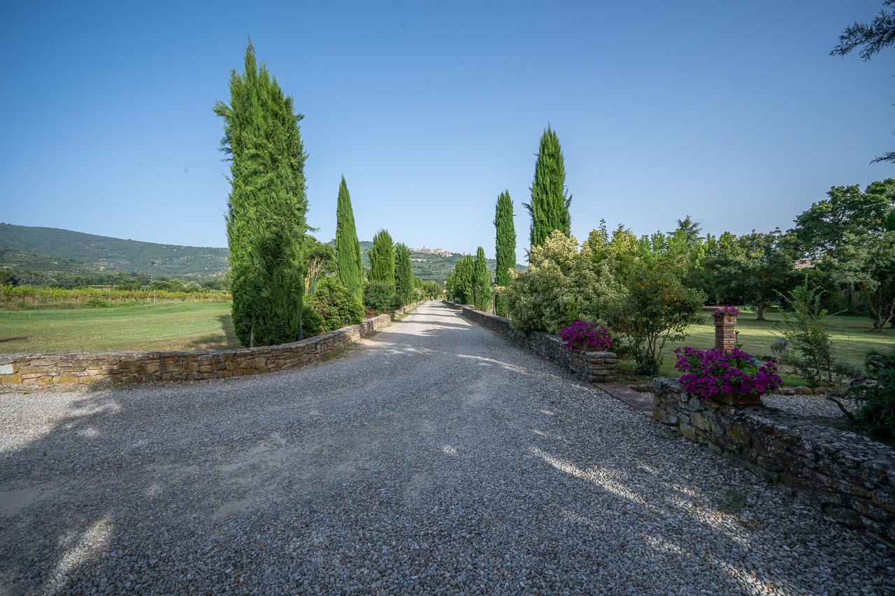 VILLA MECENATE