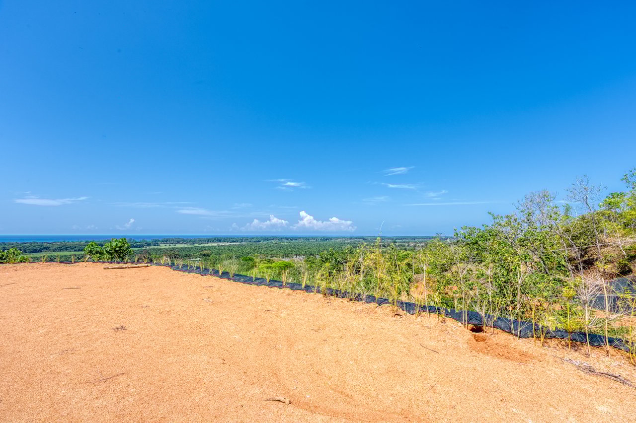 ¡New Gated Development in Matapalo - Ocean View and Flat Land, ready to build!