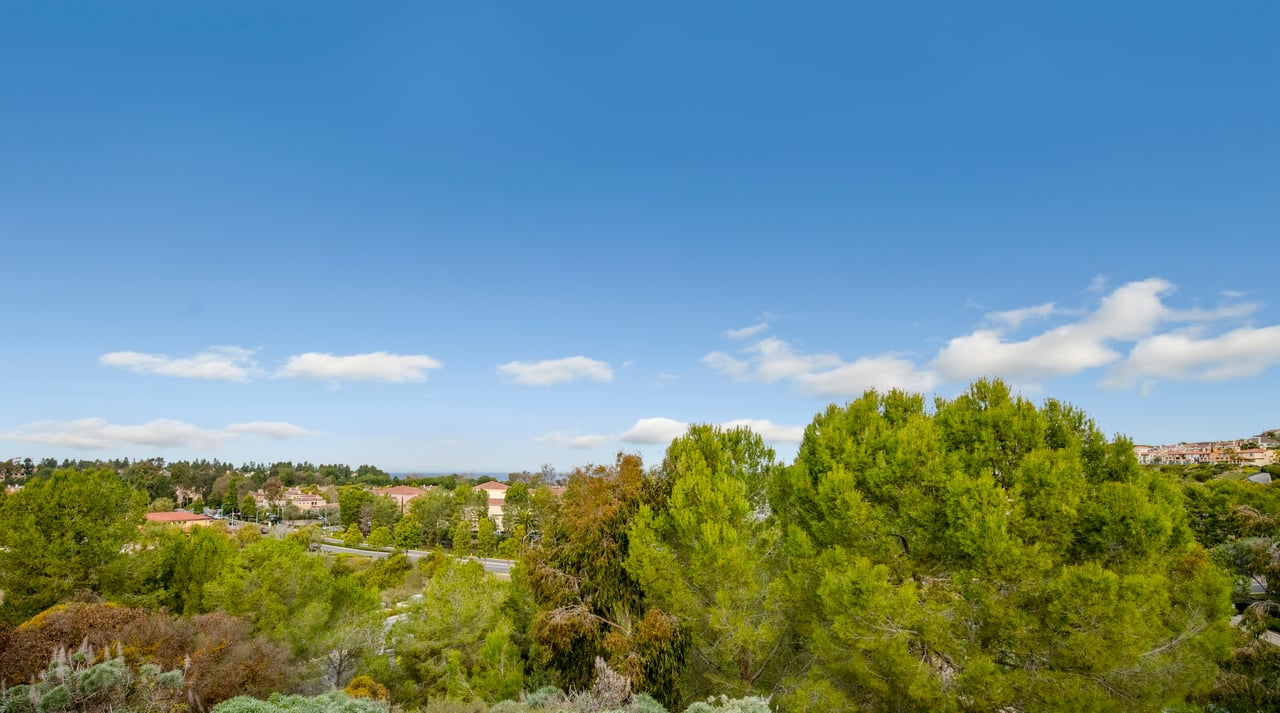 3 Savona Court