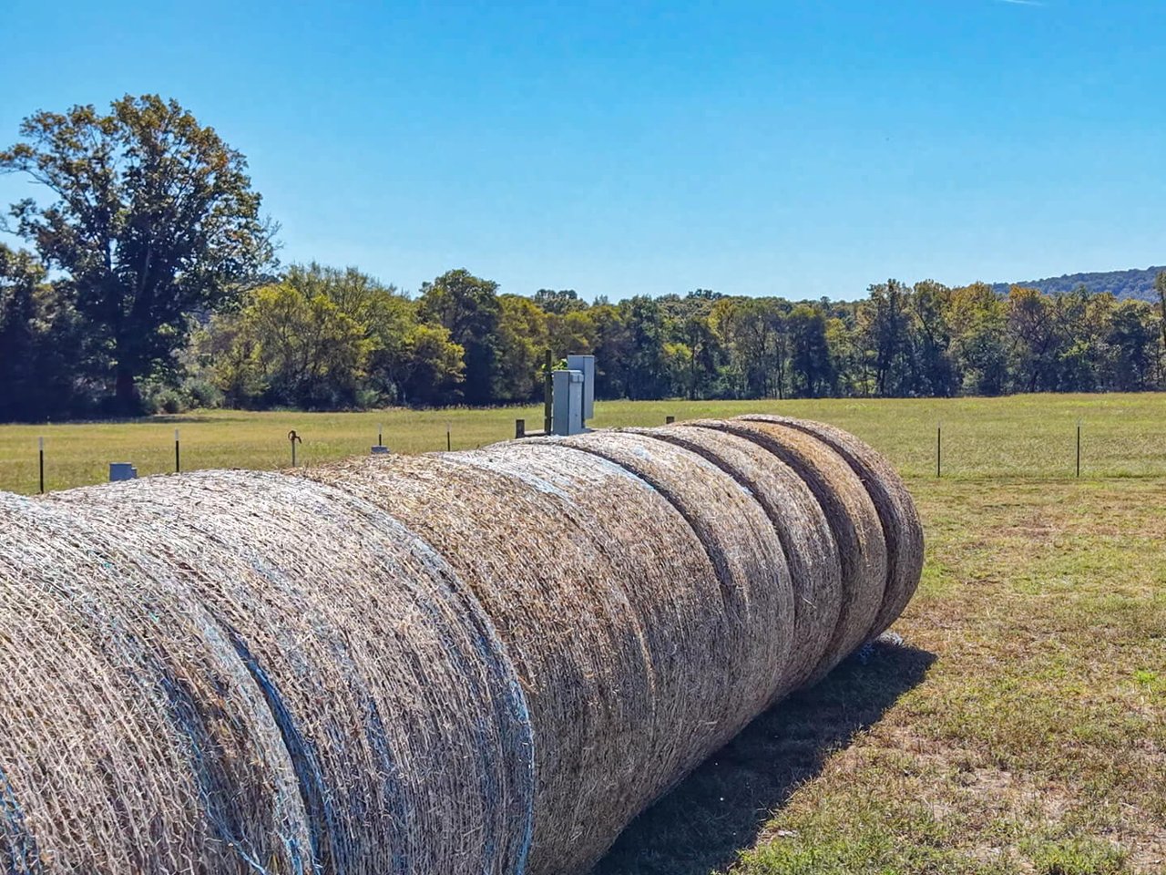 185 Acre Horse and Cattle Ranch