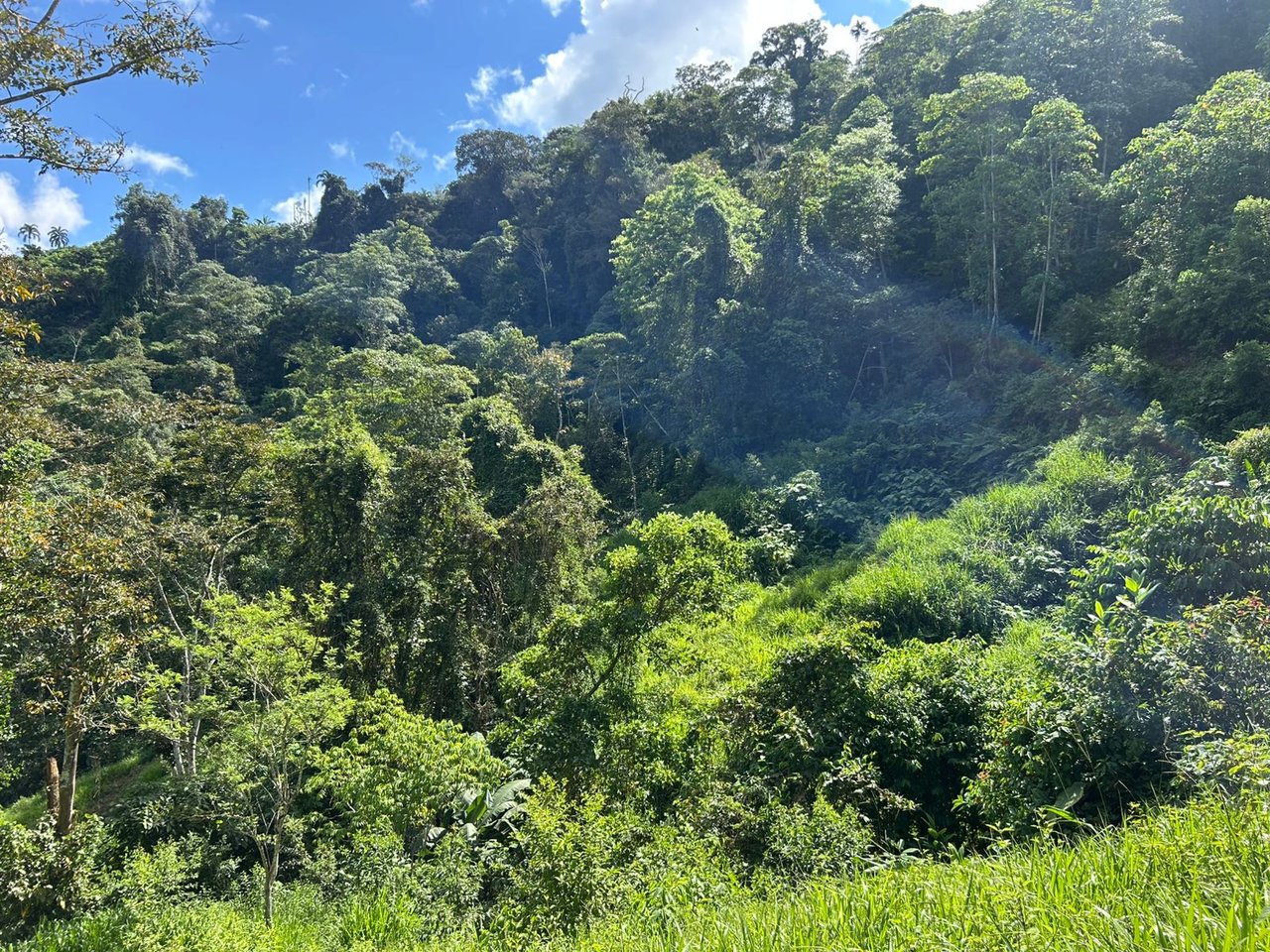 10-Acre Waterfall Farm with Amazing Valley and River View in San Isidro.