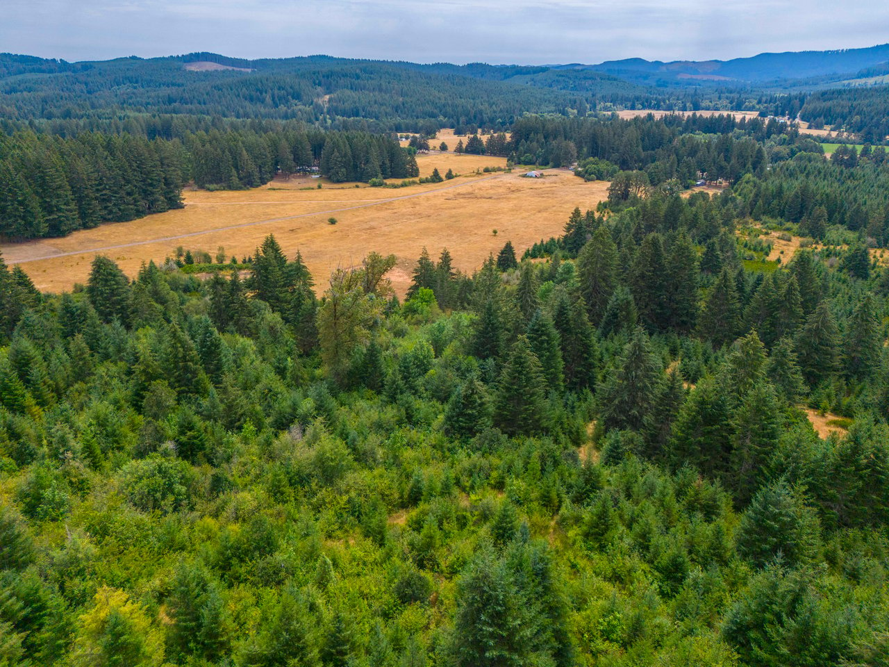 Sheffler Farm & Forest