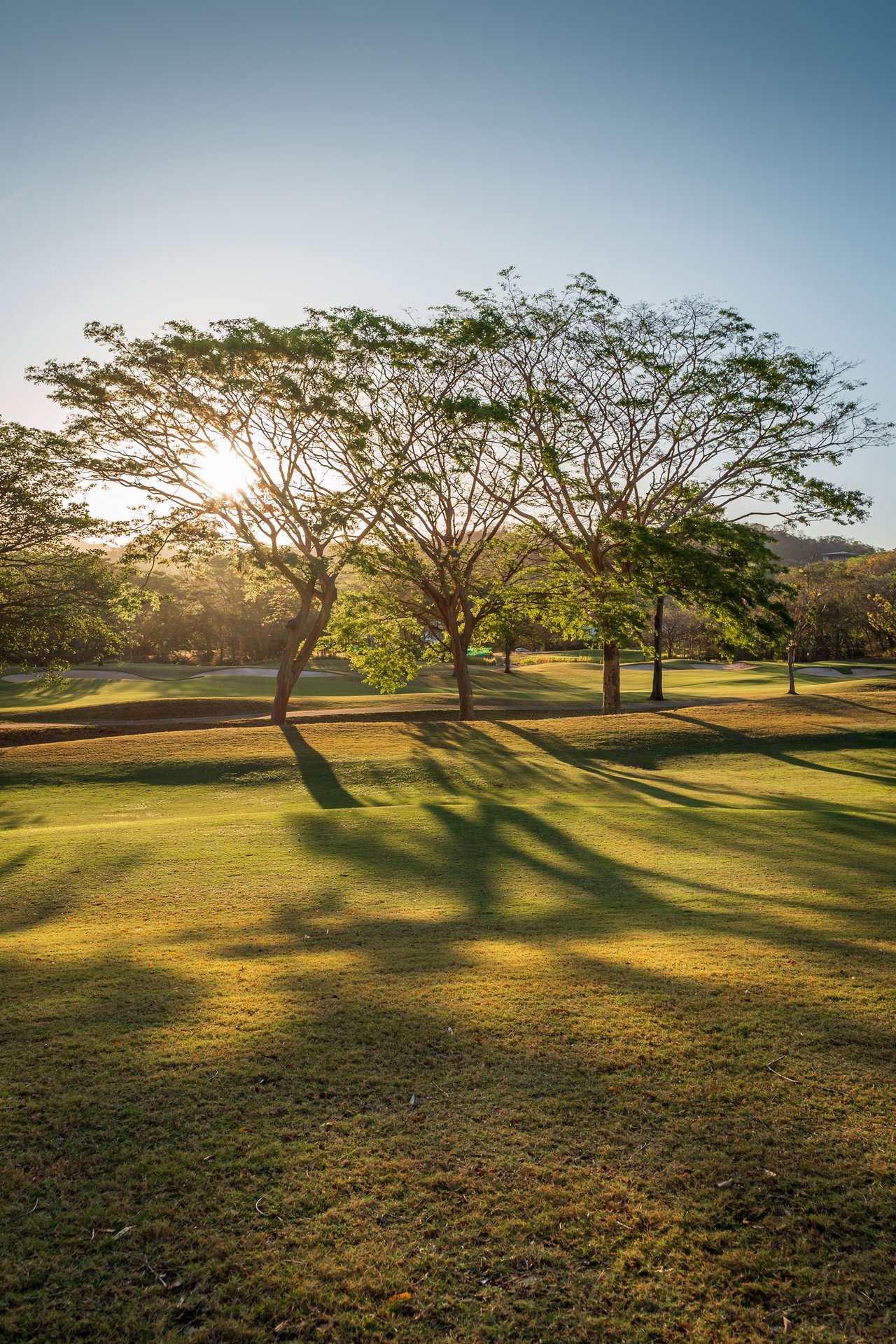 Sanara Phase II – Lot 55
