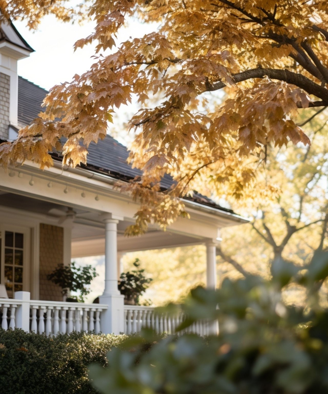 Home Search