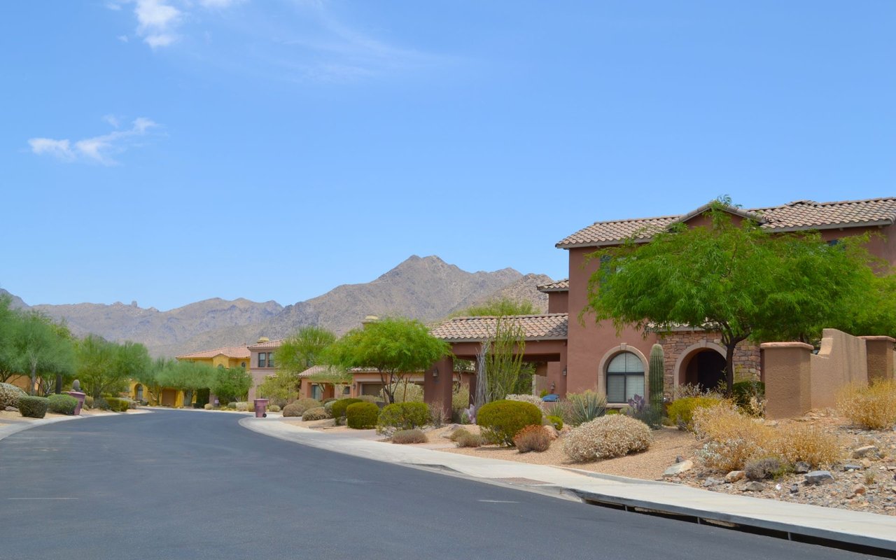 Silverleaf