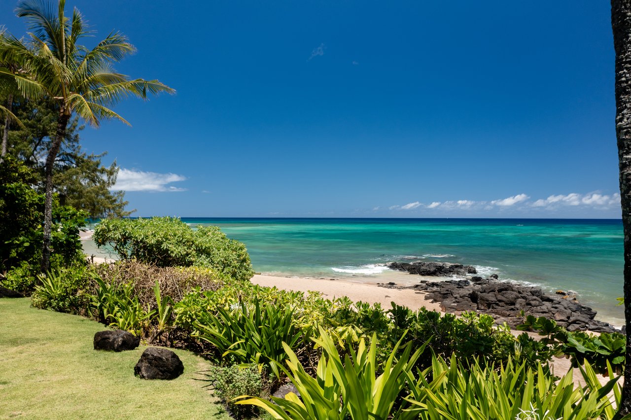 Chun's Reef Estate