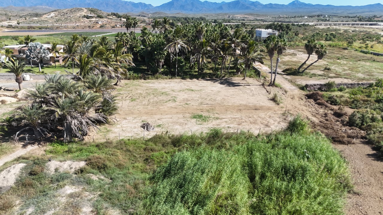 Elias Calles Beachfront Lot #234