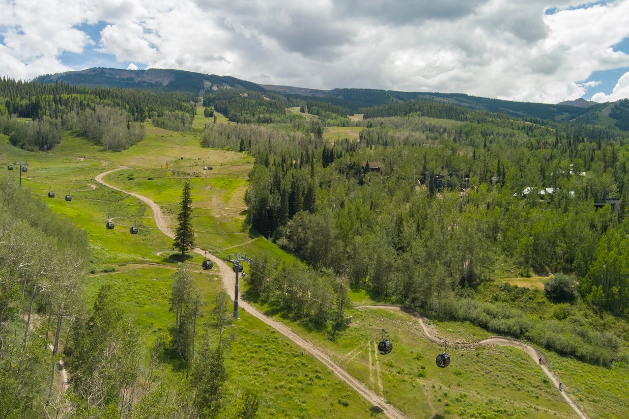 Green ski slopes and forested mountain ridges crossed by gondola cabins and trails.