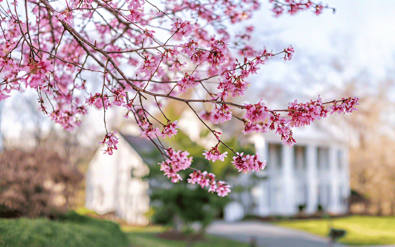 4 Ways to Make an Offer That Stands Out This Spring