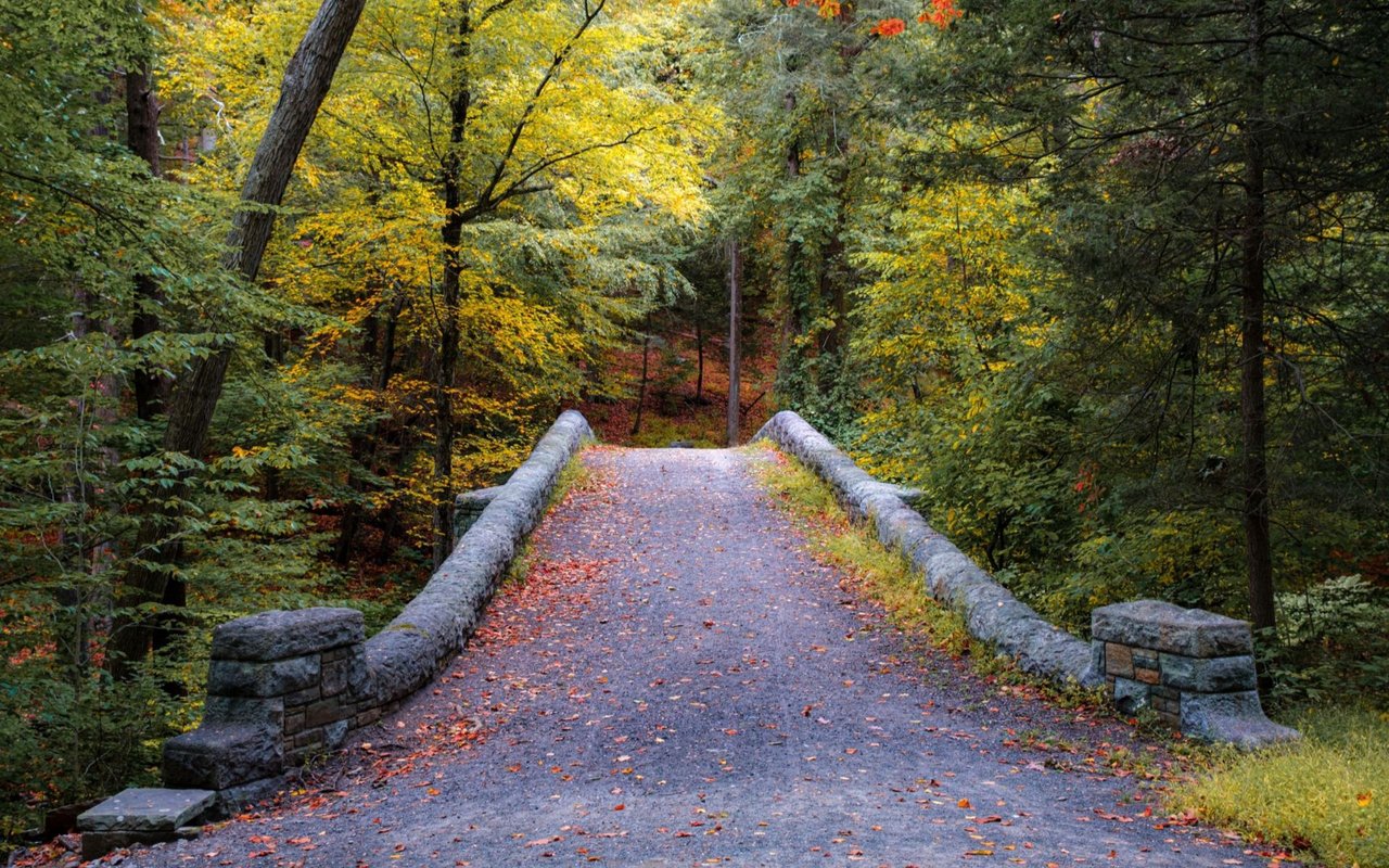 Briarcliff Manor