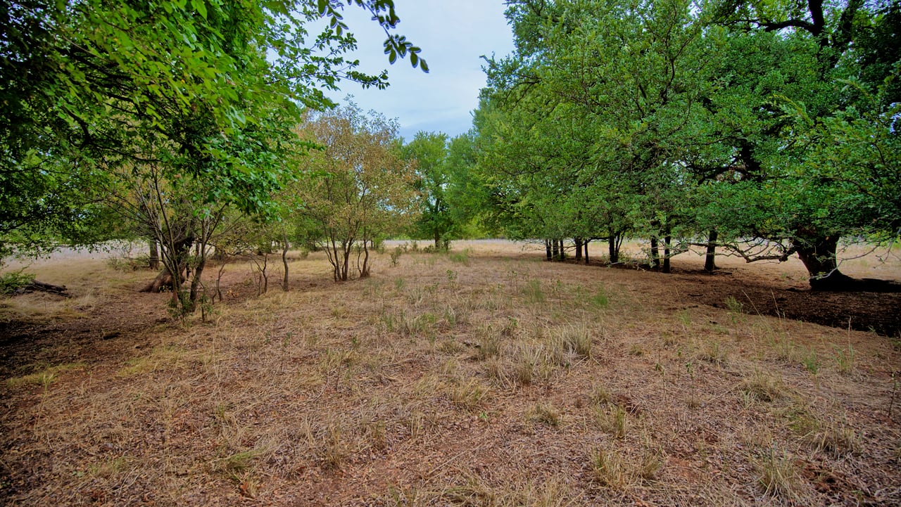 Cross Creek Ranch 