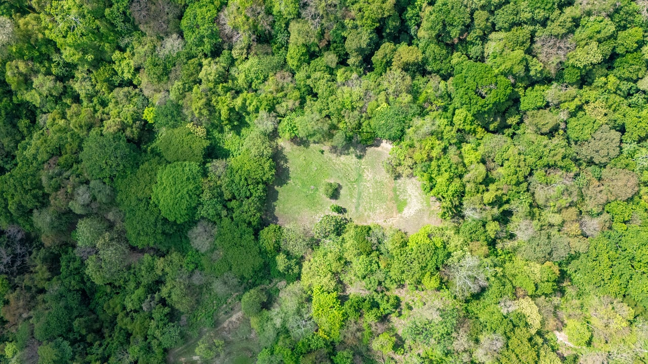 Prime Jungle Retreat with Sunset Views – Build Your Dream