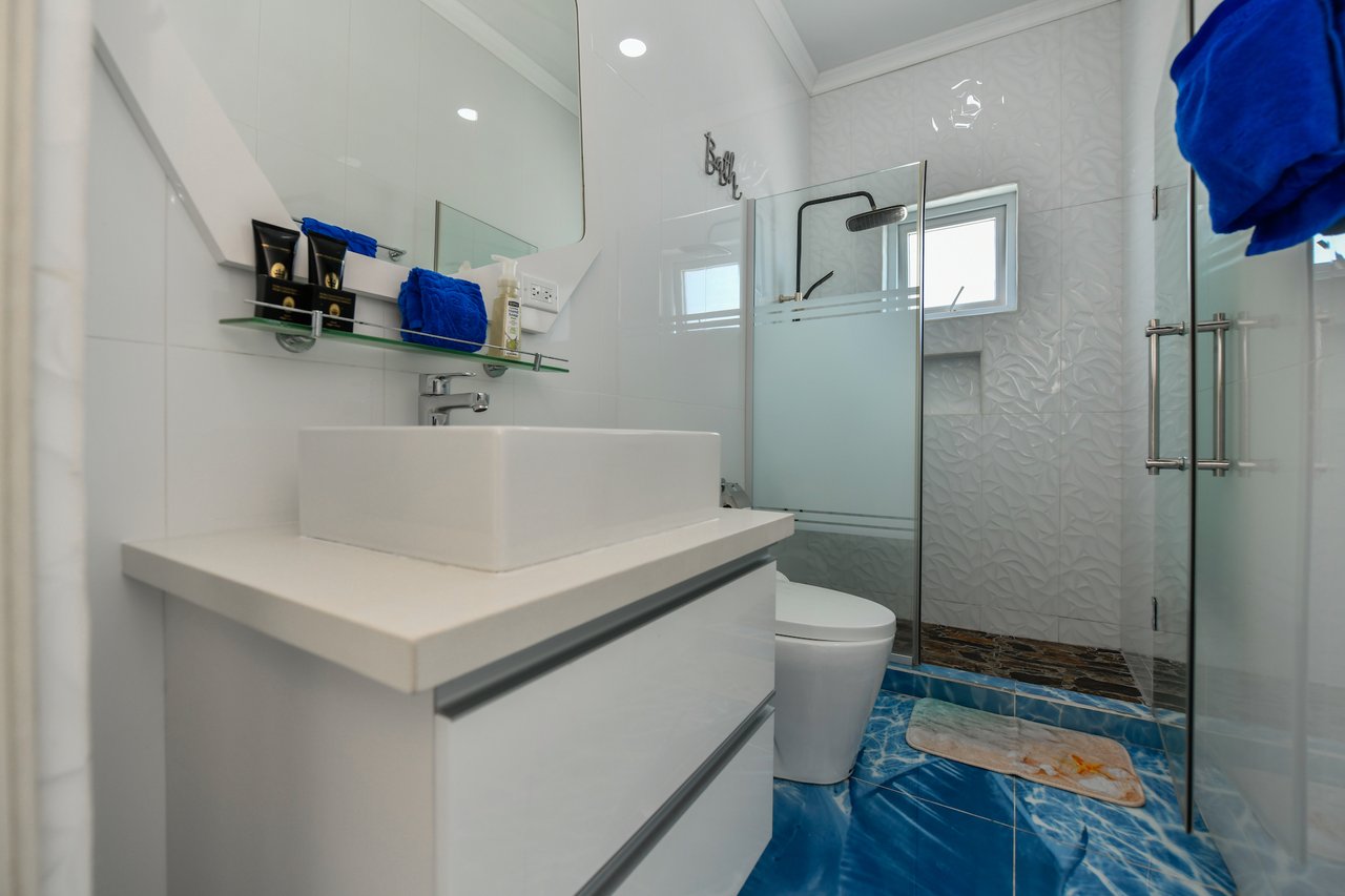 Savaneta 222 Villa 2