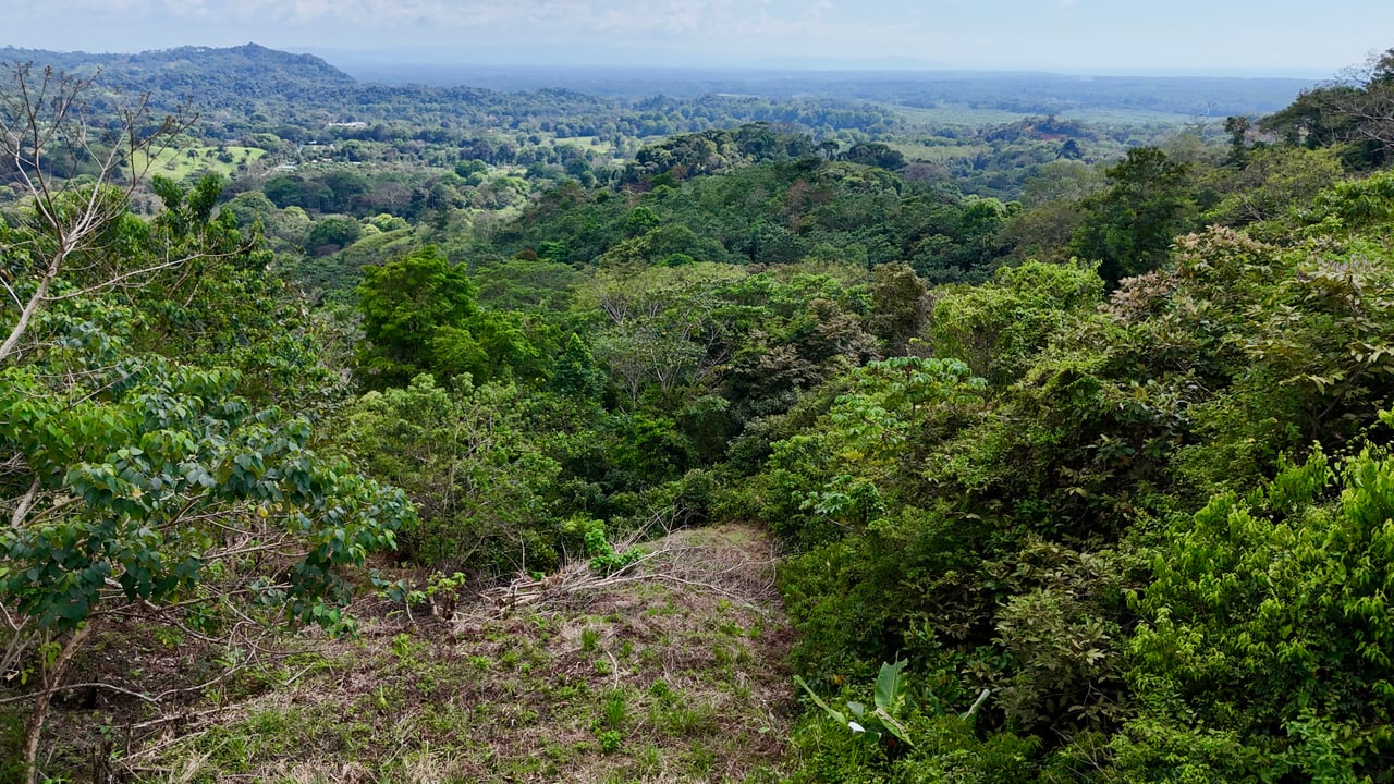 Ocean View Lot in San Buenas, Only $90K & Ready To Build