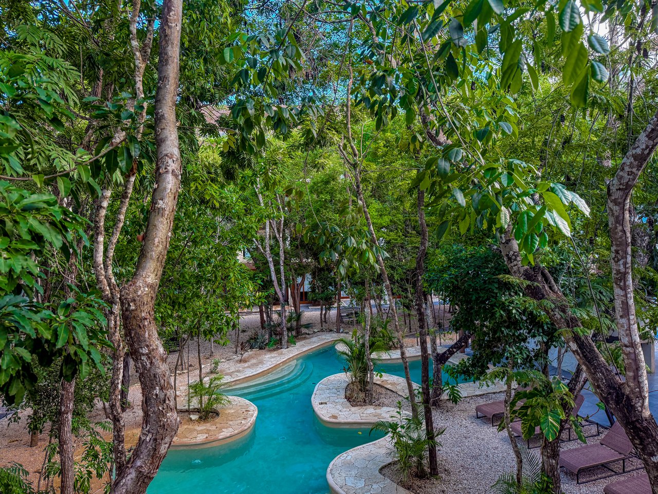 Studio Naia  | Incredible Price