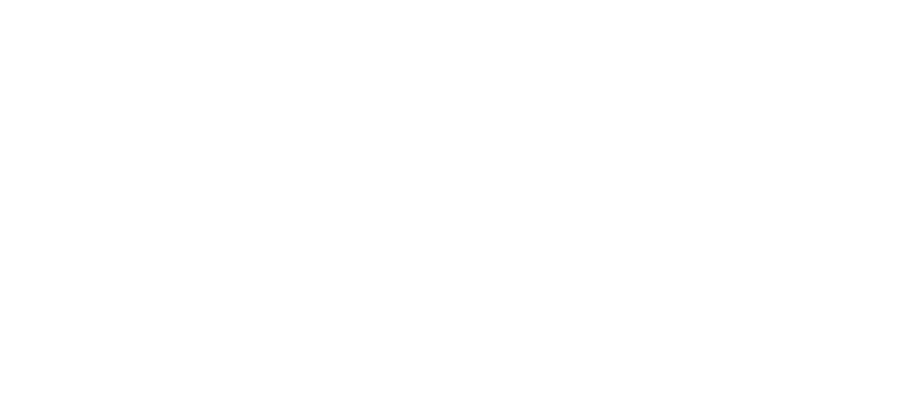 Light Logo