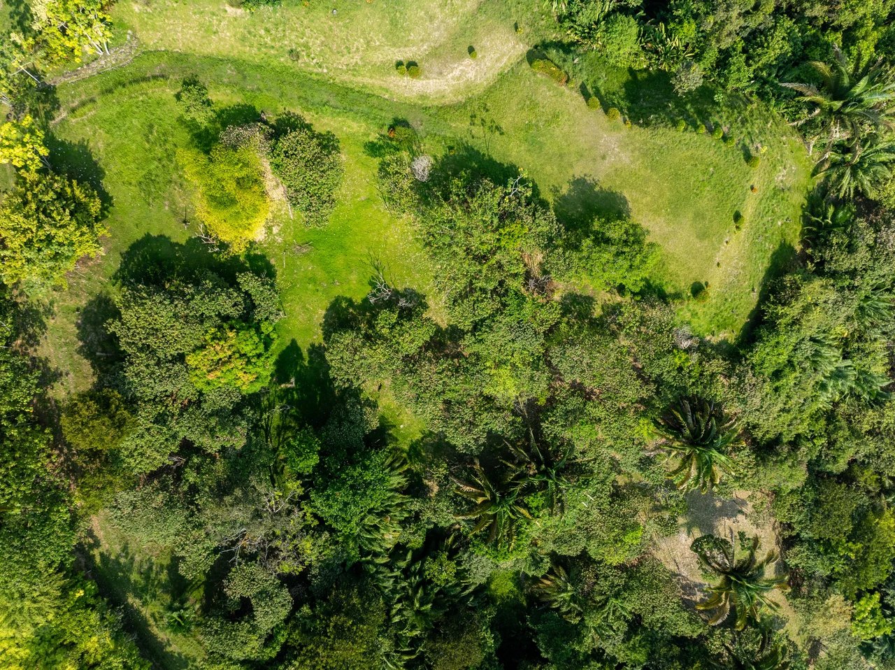 Uvita Las Colinas Prime Ocean View Lot #6