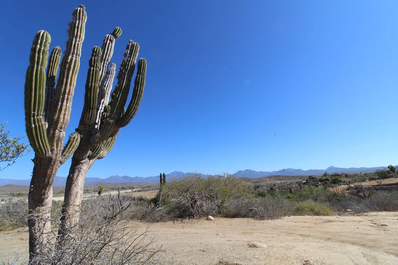 Ranchito Ellias Calles
