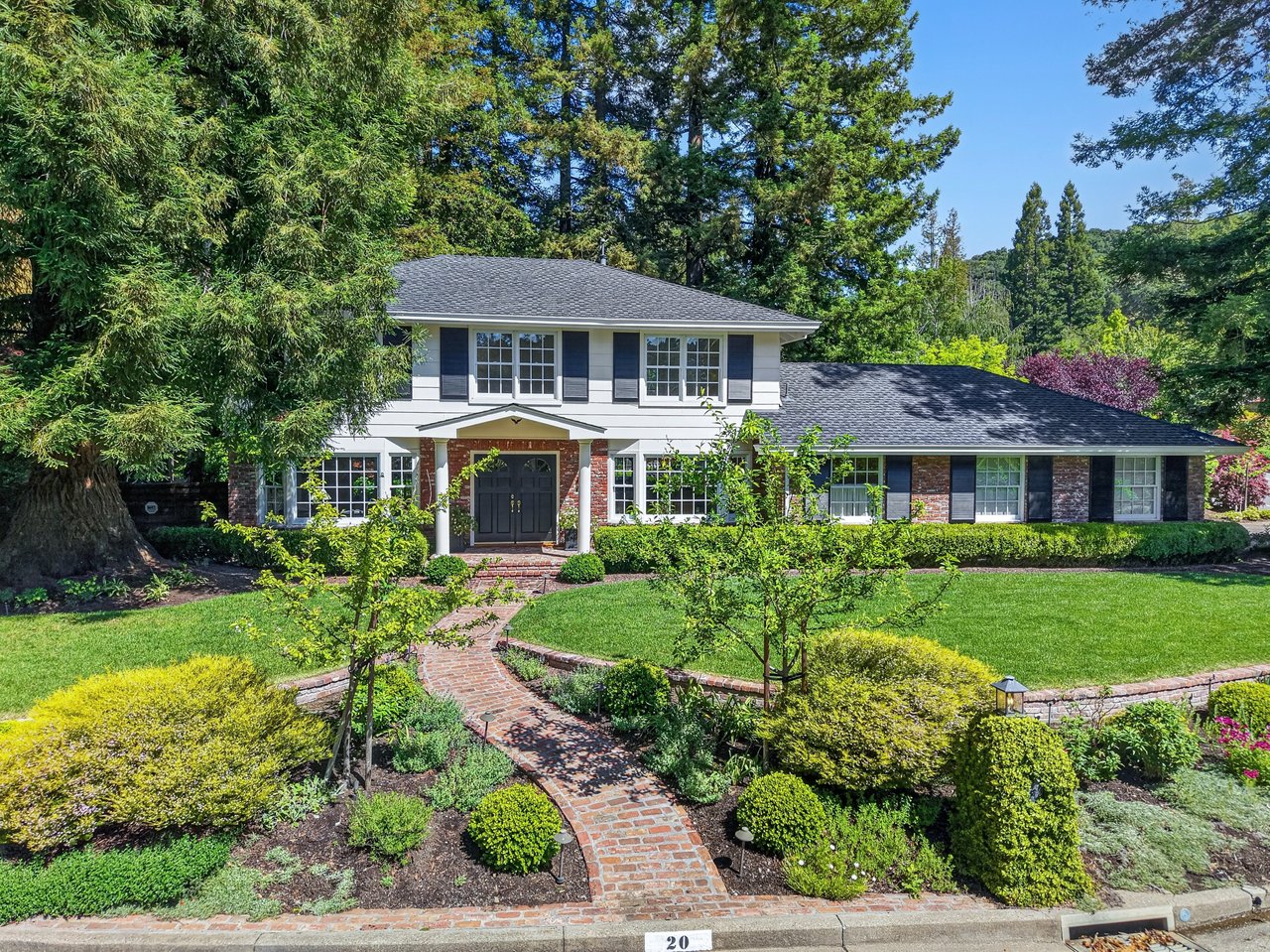 20 Coachwood