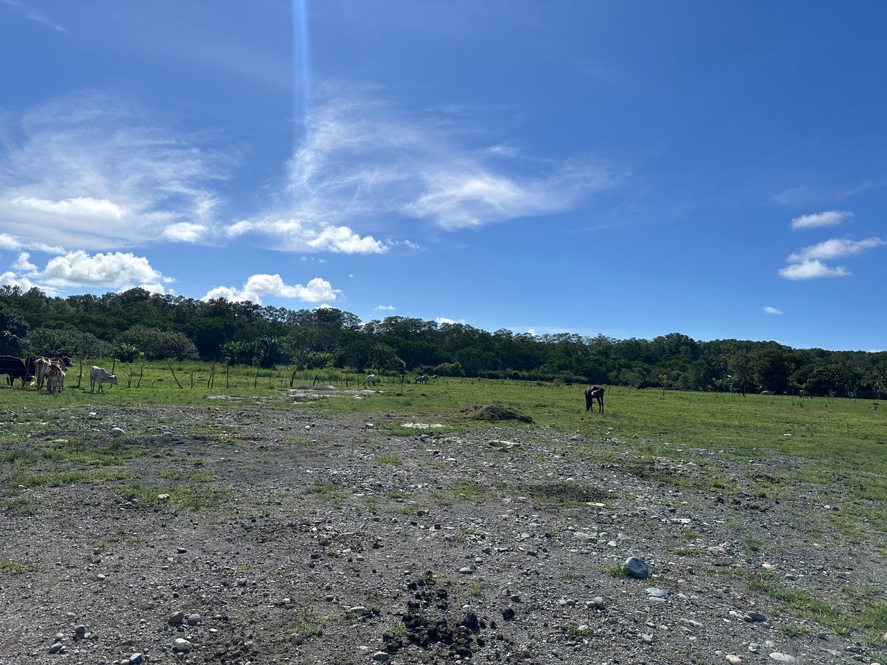 Prime Development Land Steps from the Marino Ballena National Park - Lot B