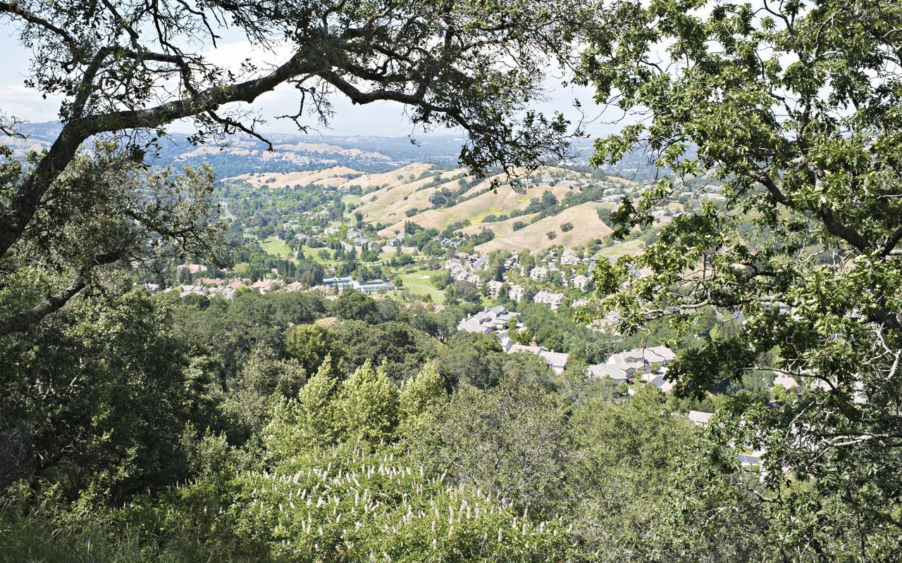 Rossmoor