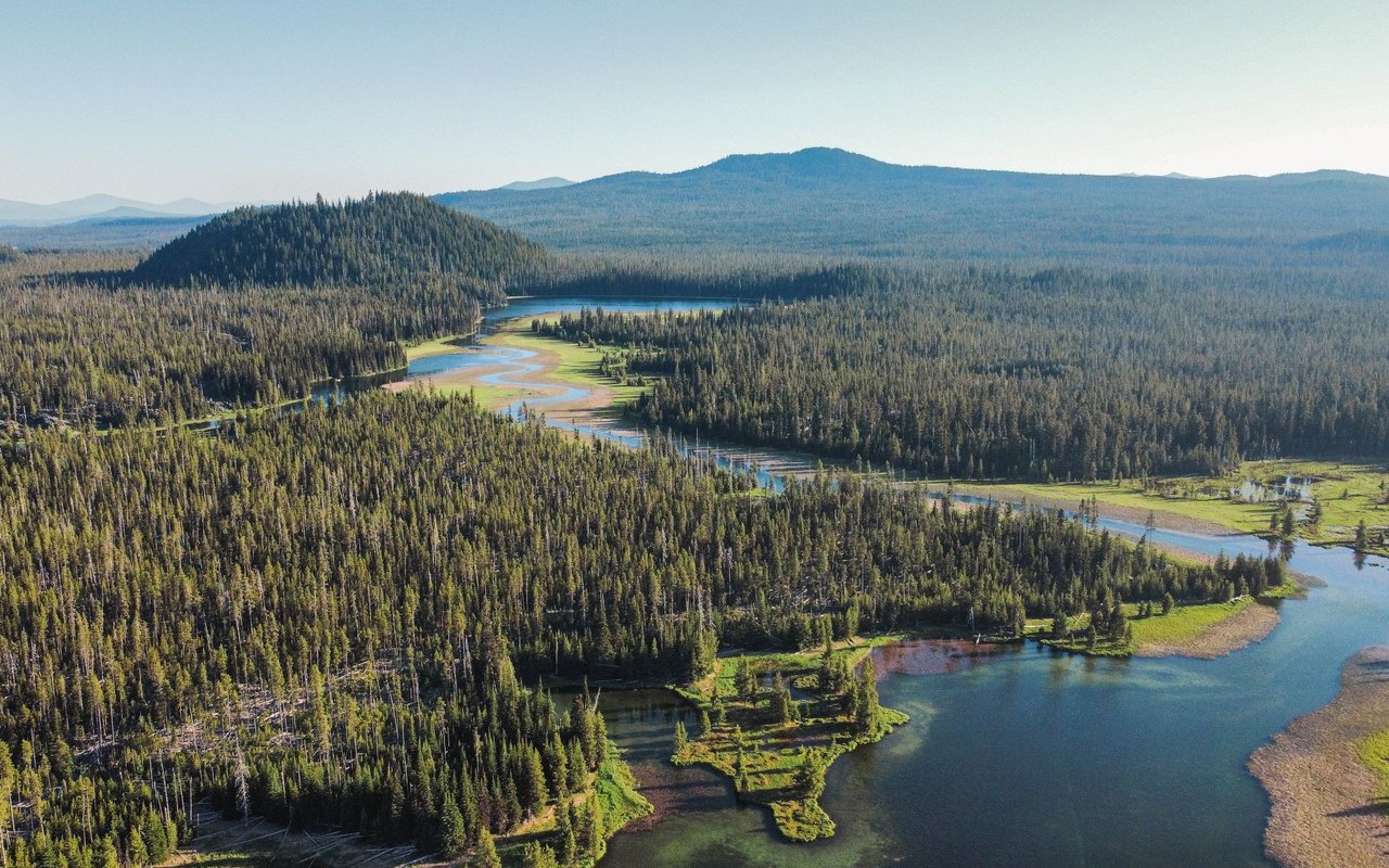 Aerial view of forested wetlands, winding waterways, and distant mountains.