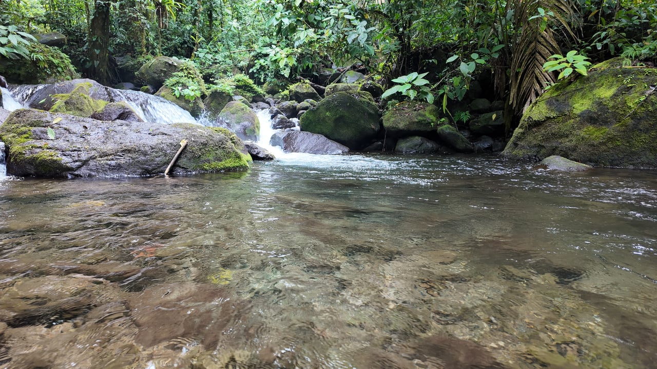 10.5 Hectares Rio Celeste - Nature Lover's Dream - Bijagua 