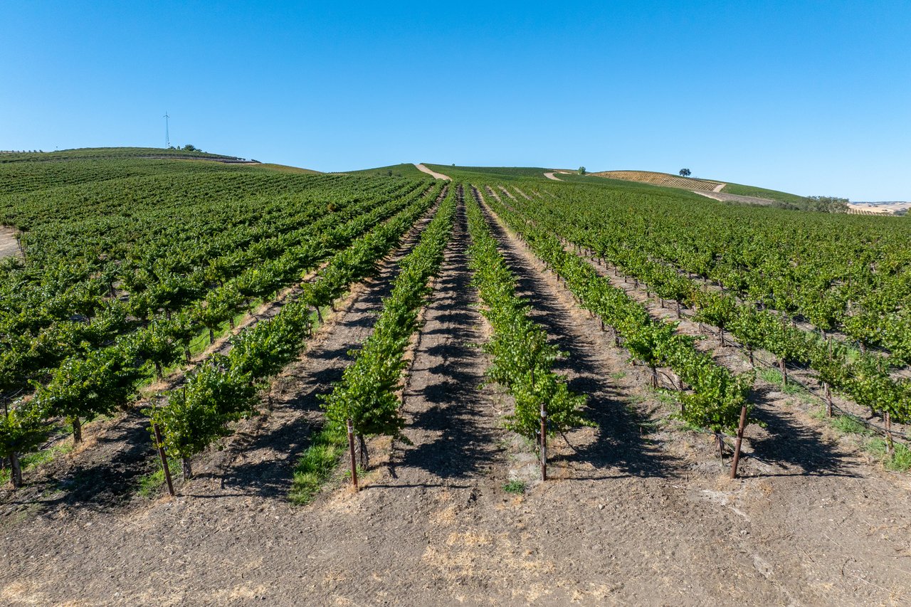 A rare offering in the Estrella District AVA of Paso Robles