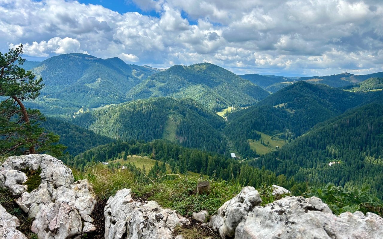 Forested High Country mountains and valley viewed from a rocky overlook beneath a cloudy sky.