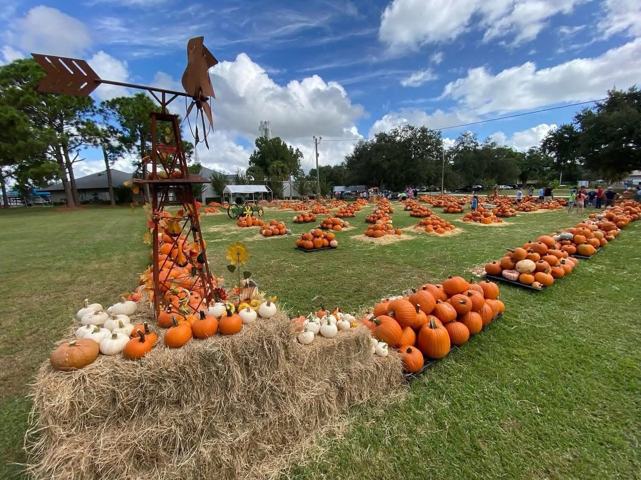 🎃 Fall Fun in Lakeland, Florida: Pumpkin Patches, Corn Mazes, & Family Events This October