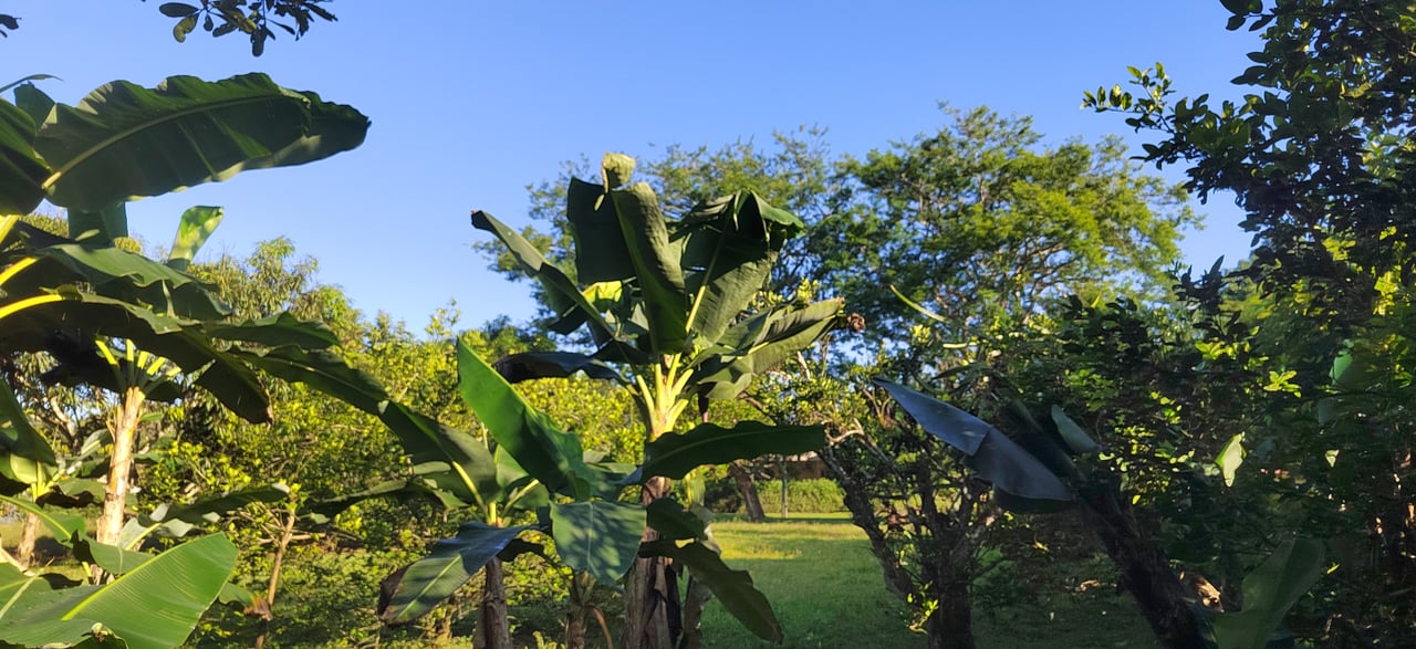 PRIME 1,100 M² LOT IN RESIDENCIAL LOS VIEJOS – FLAT, PRIVATE, AND READY TO BUILD