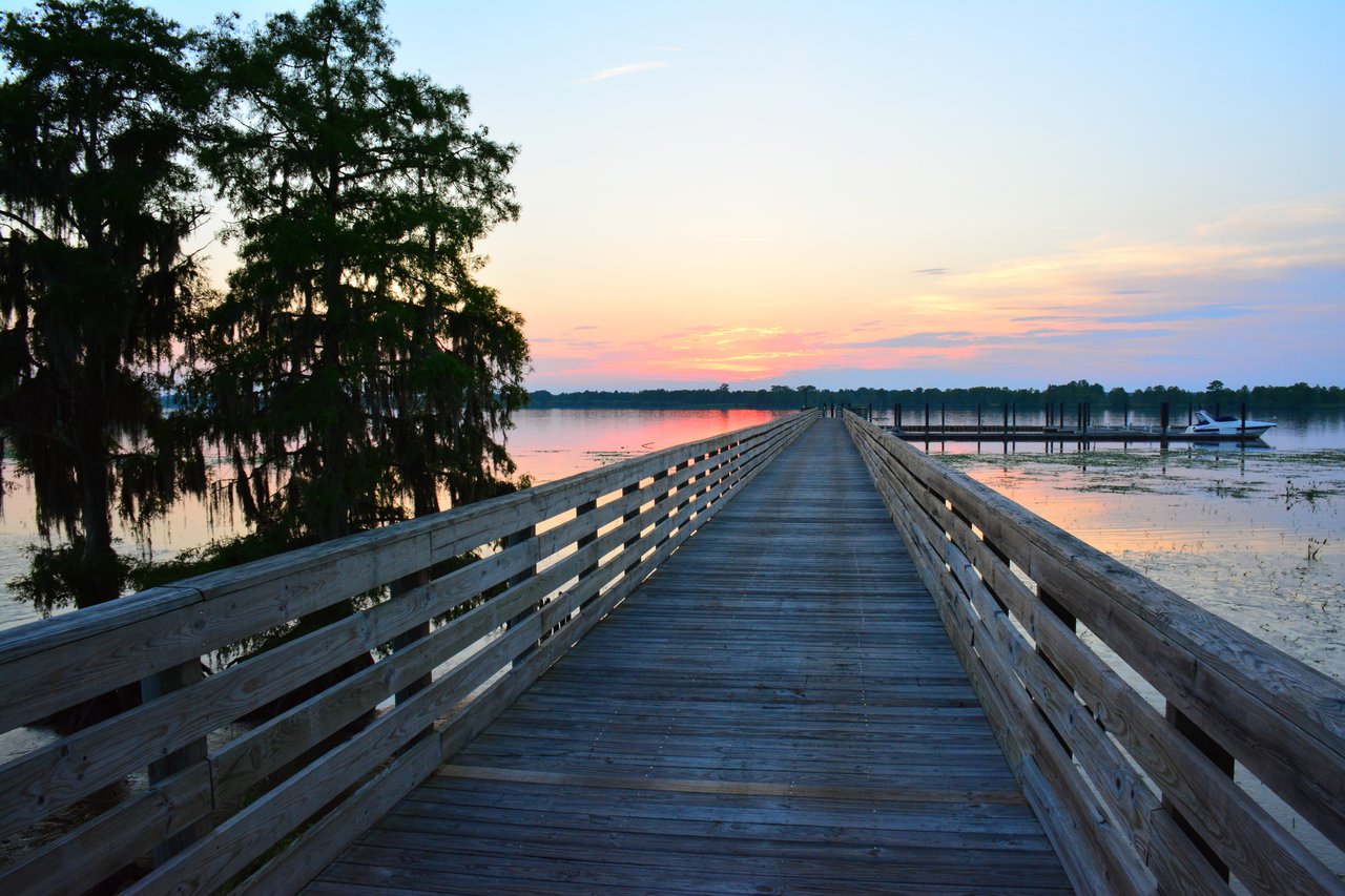 Allston River Bluffs