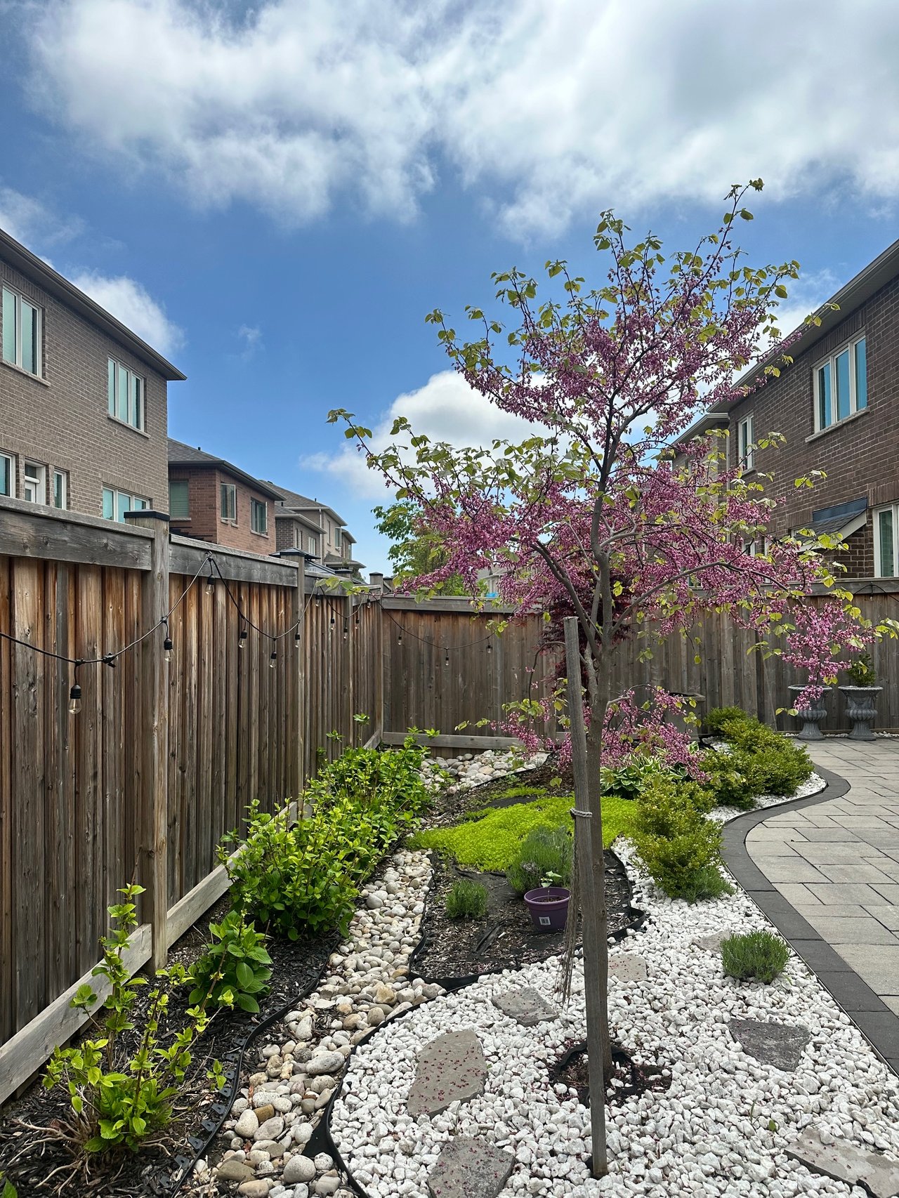 3205 Violet Gardens, Oakville