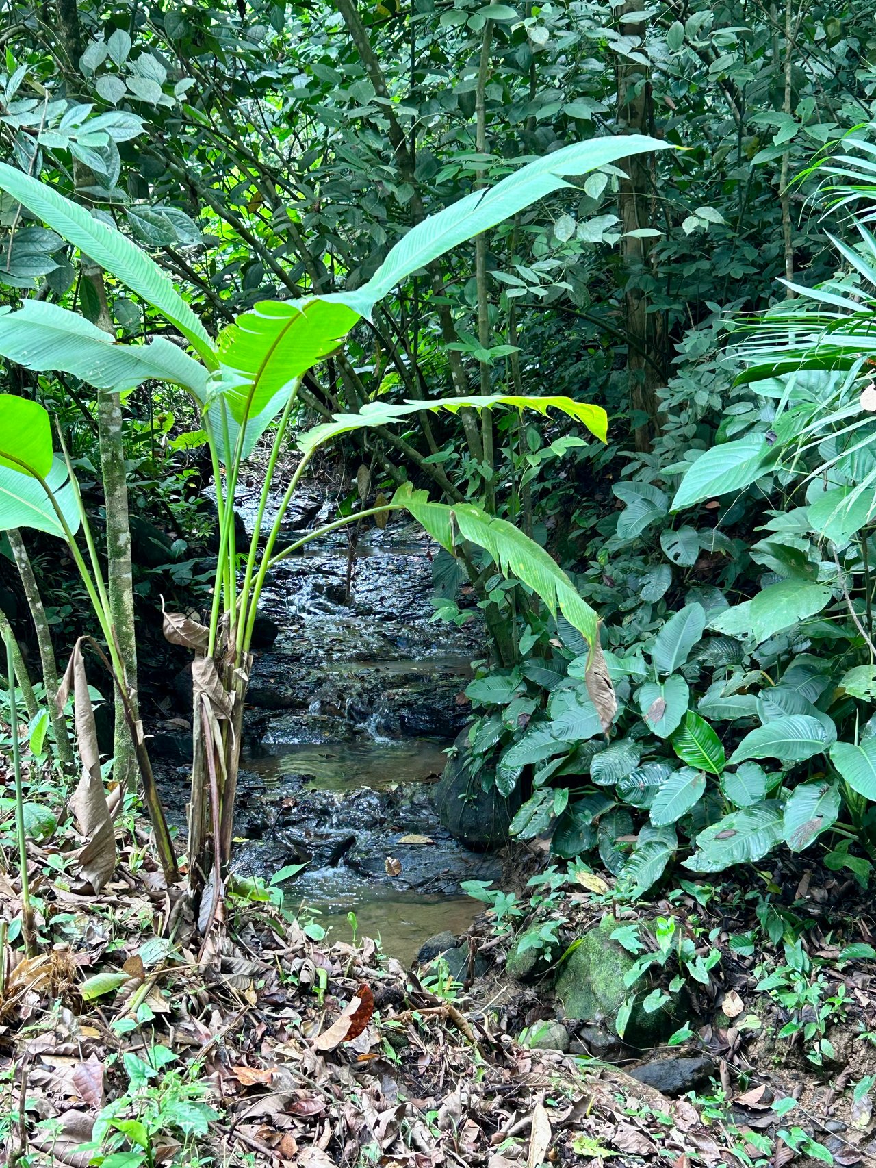 Fire Sale Investment Opportunity in Jardines del Morete | 2 Bed | 2 Bath Home with River Access