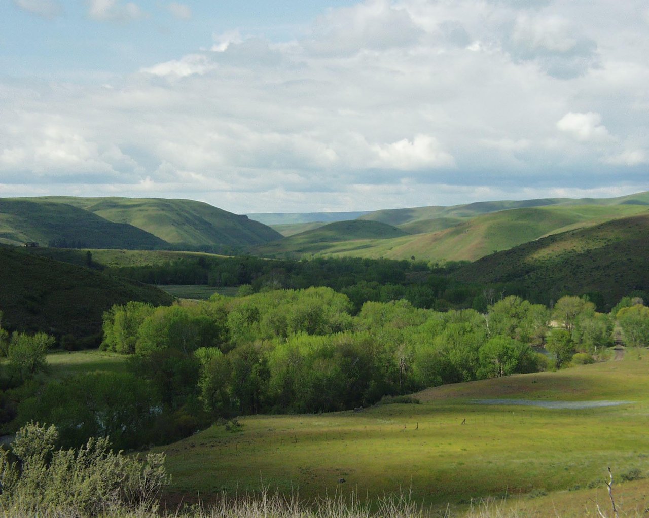 Cuddy Mountain Ranches