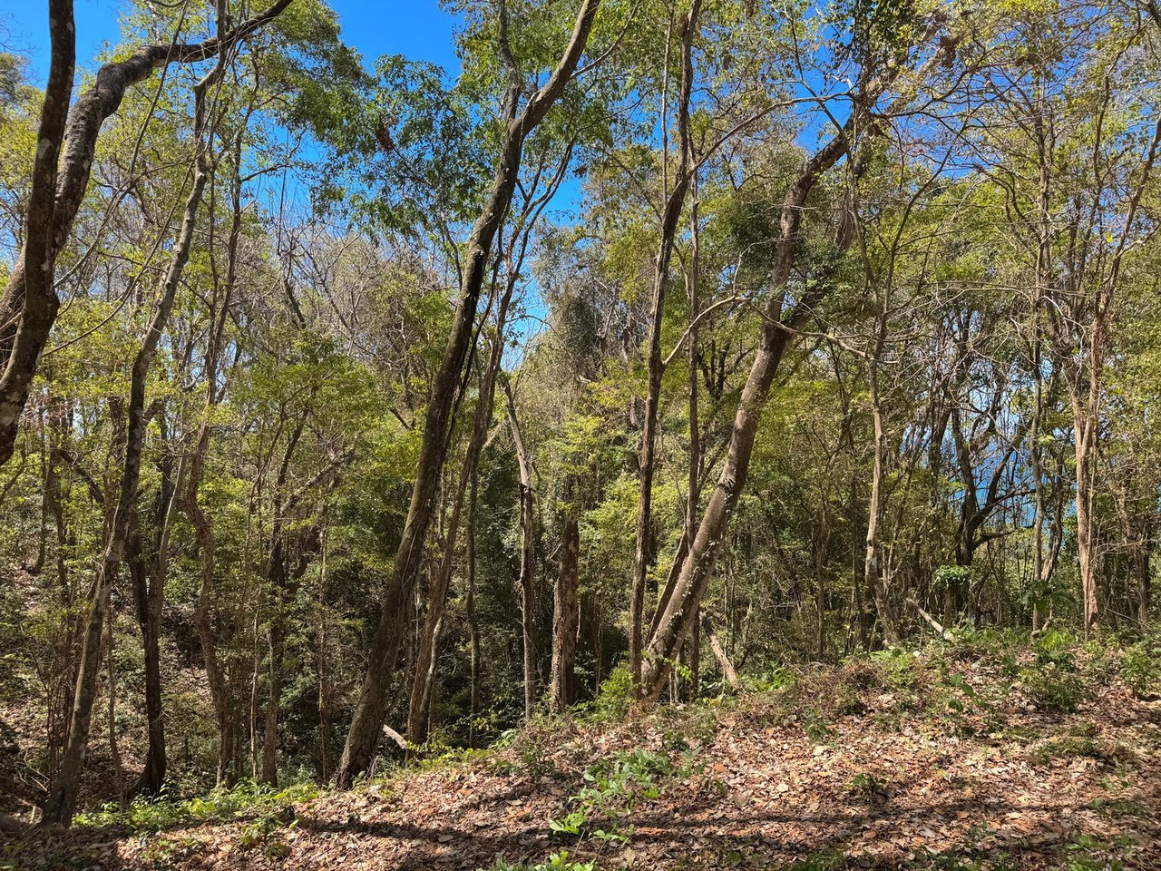 Refined Ocean View Development Parcel, Santa Teresa, Puntarenas