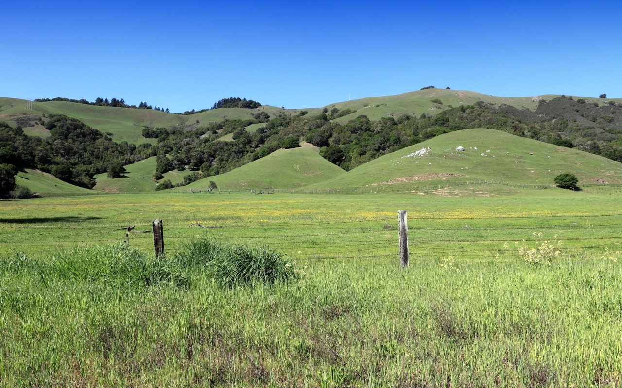 San Geronimo Valley