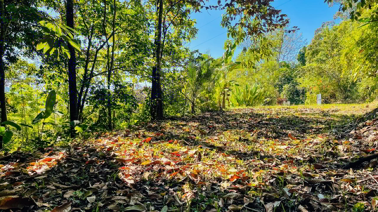 Private Mountain Sanctuary in Costa Rica awaits
