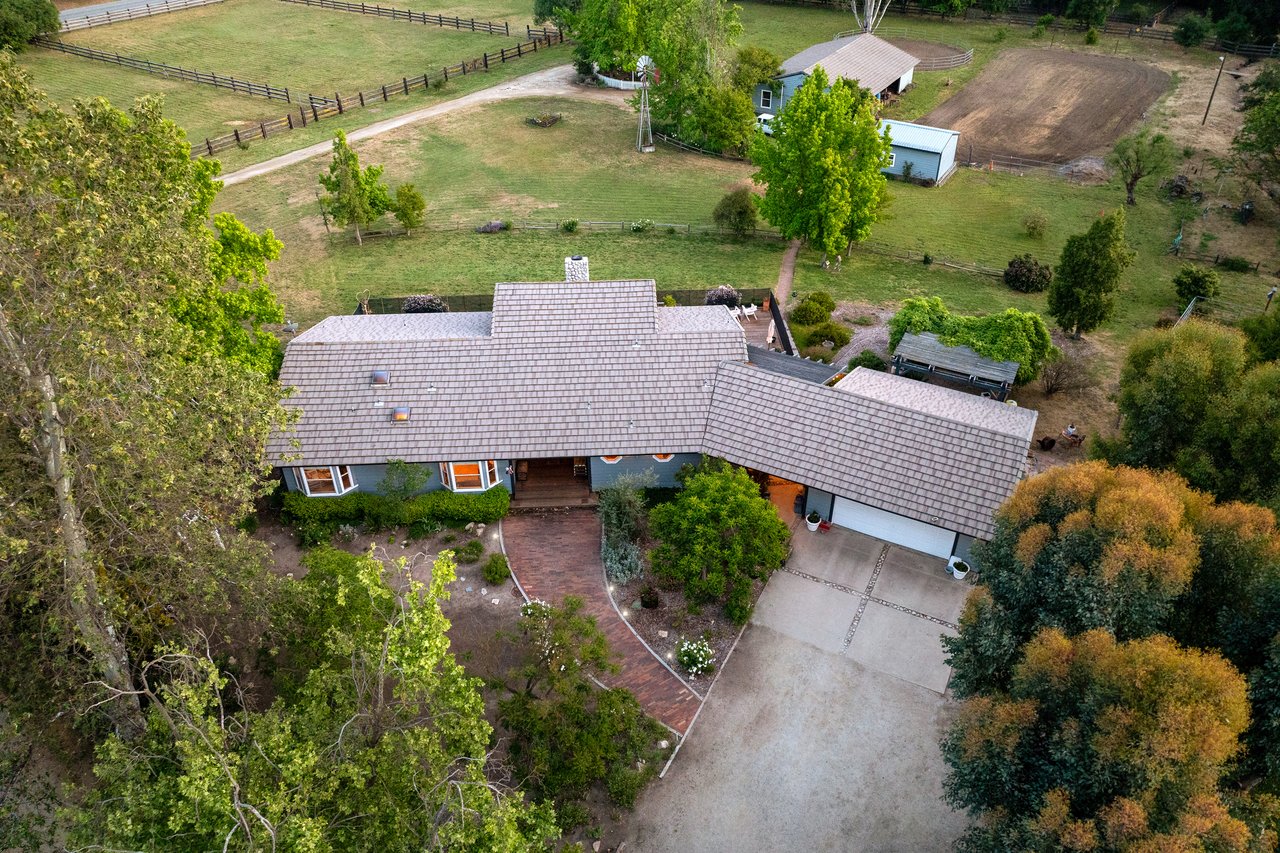 37797 Calle De Lobo