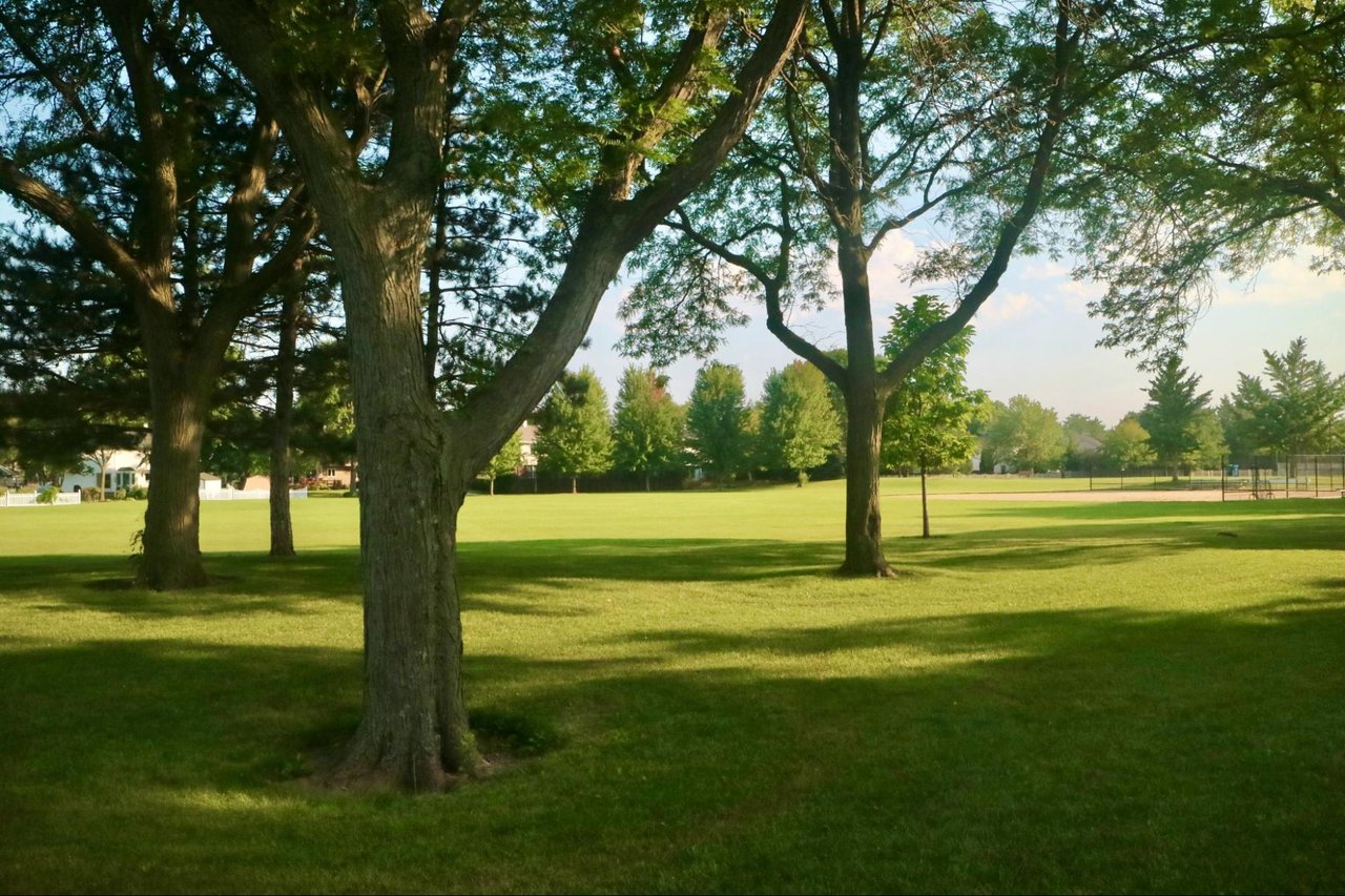 Lorne Park: Inside One of Mississauga's Most Established Neighbourhoods