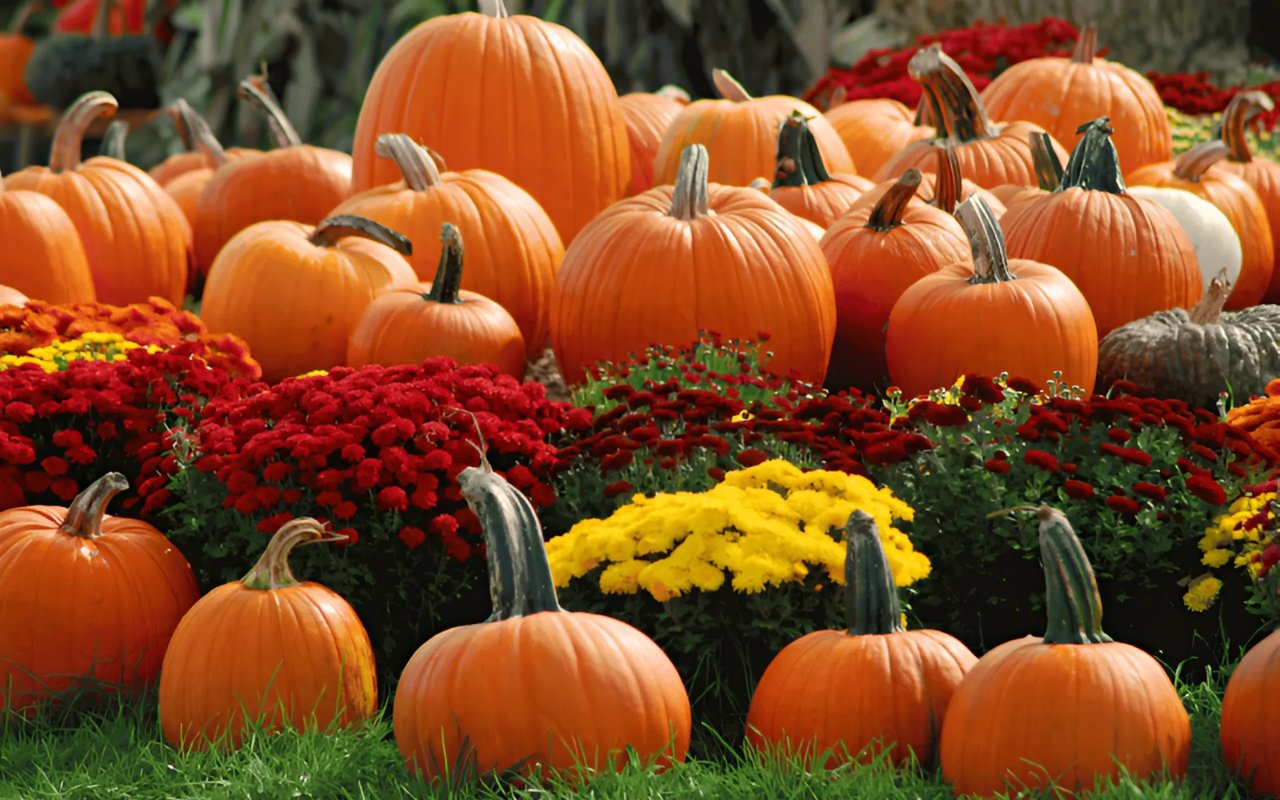 Lowcountry Living – October Fall Events