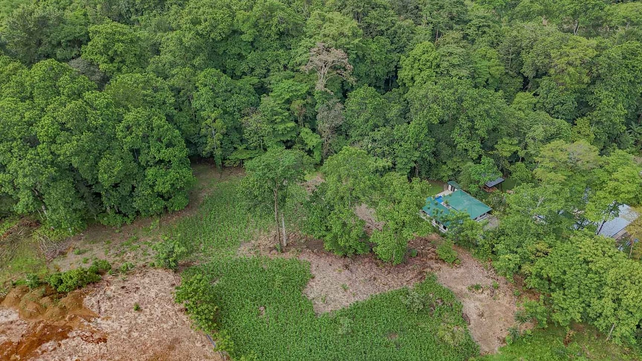 Rainforest Home with River, Jungle Trails & Pool in Ojochal