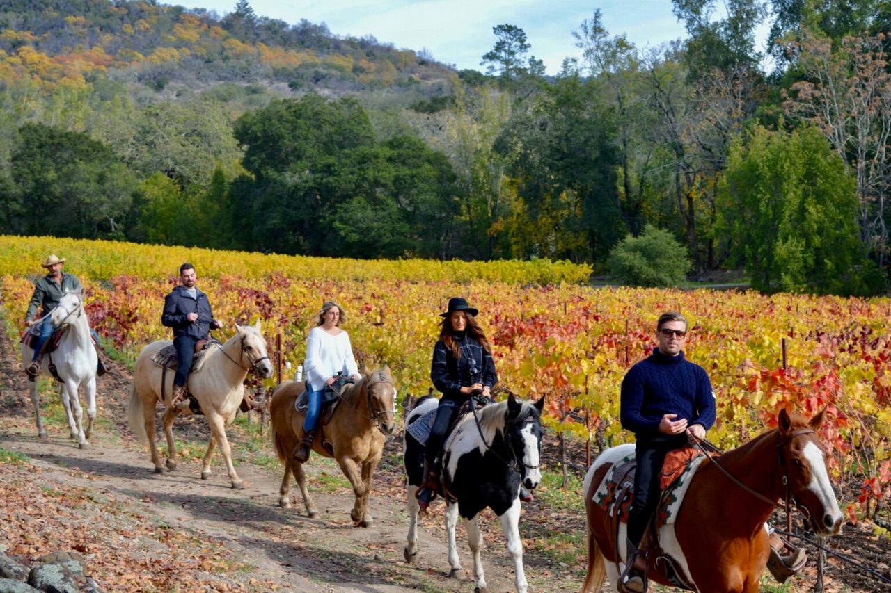 15 Sonoma Wineries With Gorgeous Gardens