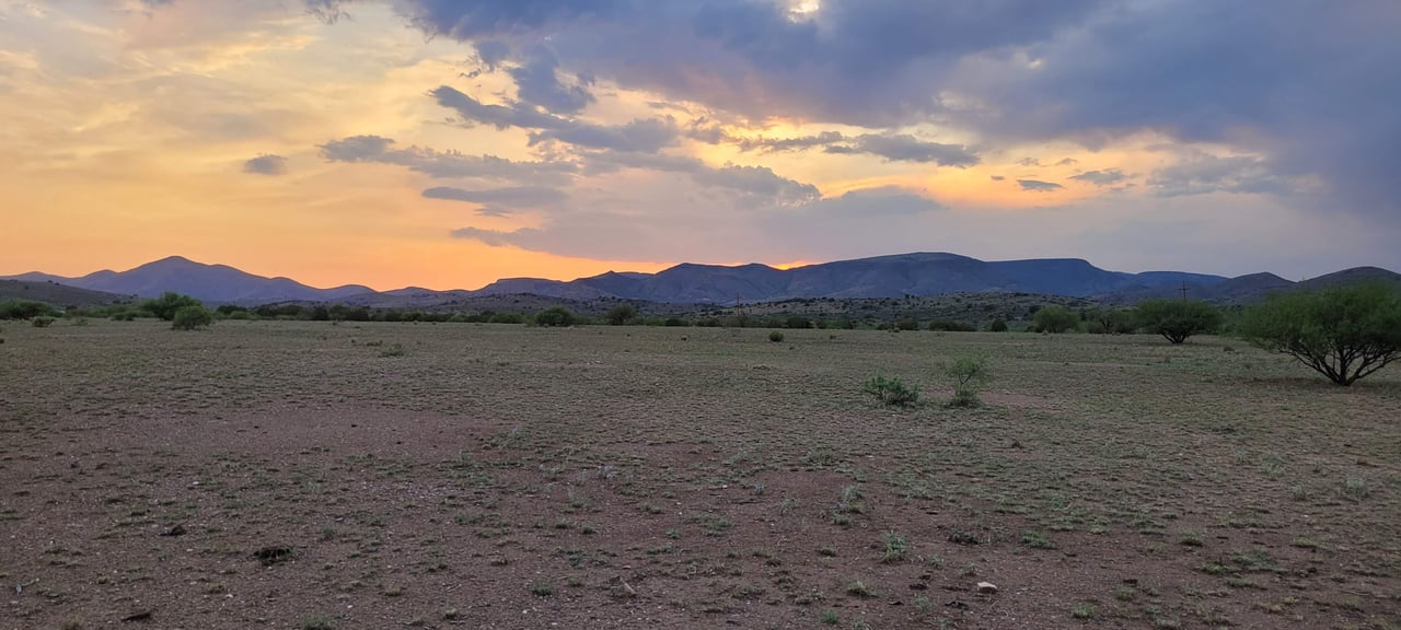 Blue Bell Quarter Horses