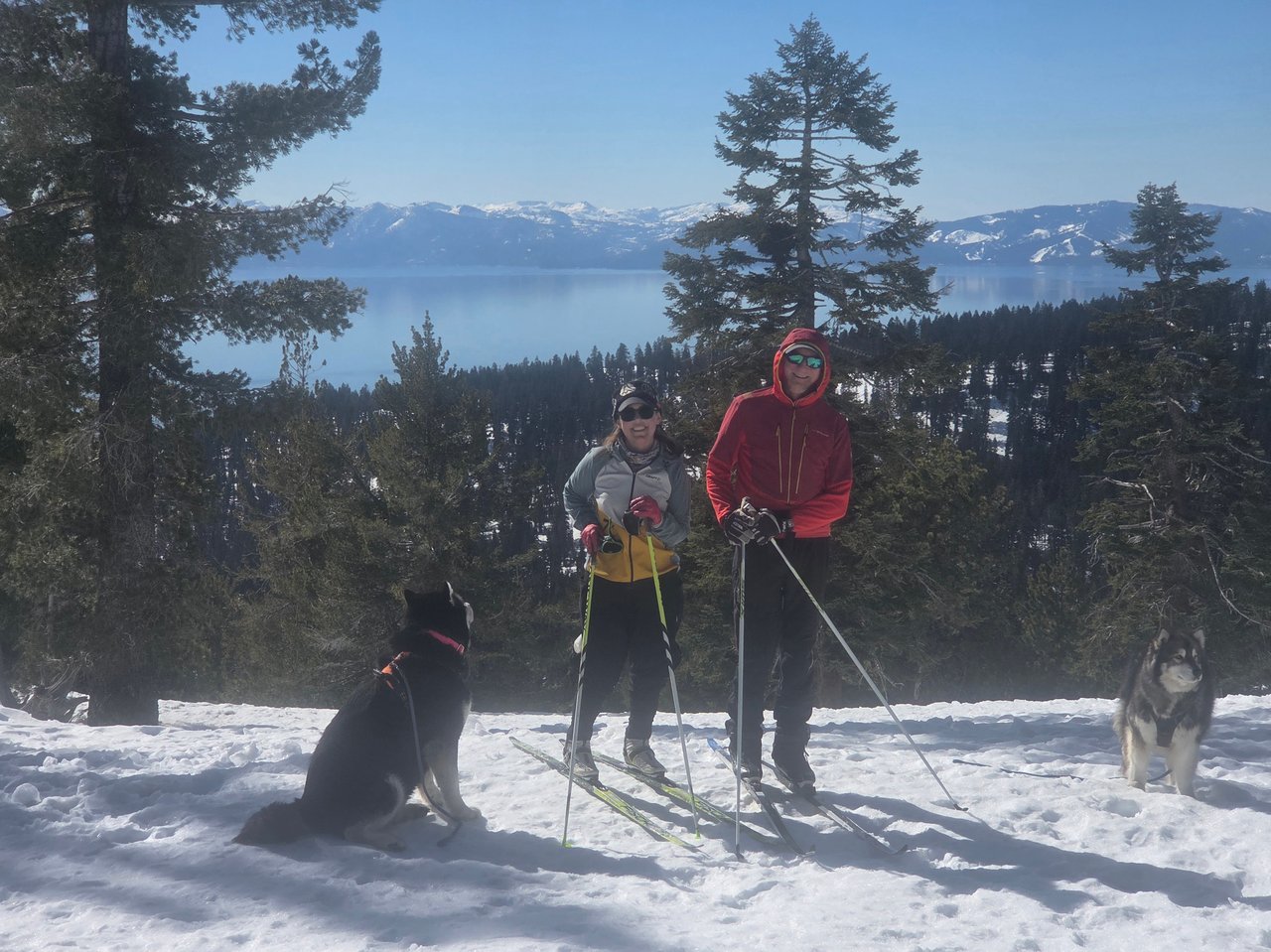 Jeff and Carina Cutler cross country skiing with their dogs on the groomed Nevada Nordic ski trails overlooking Lake Tahoe