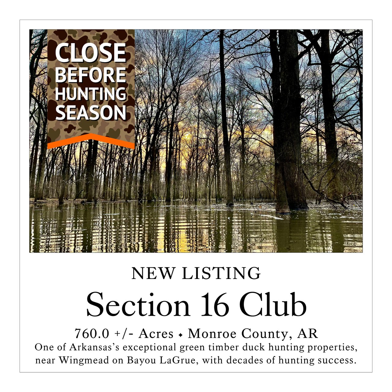 Section 16 Club
