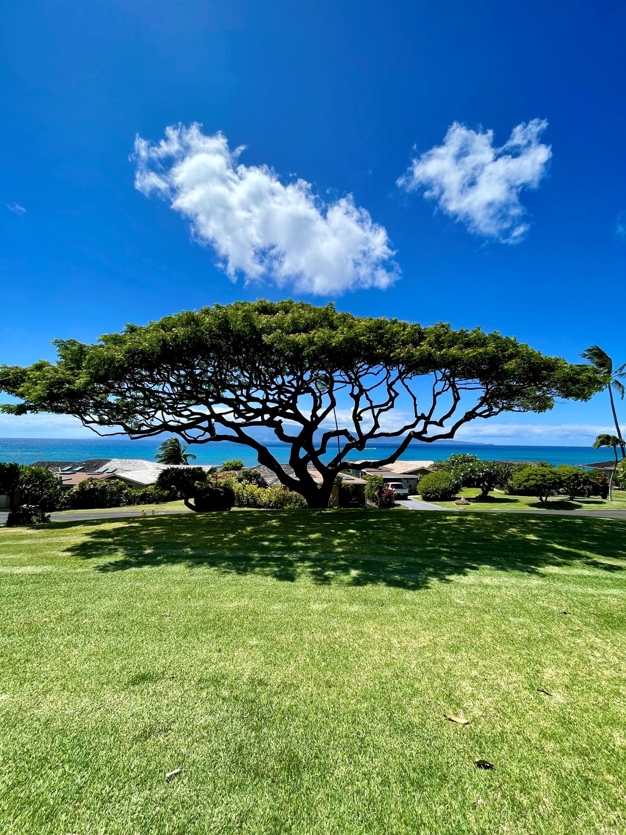 Panoramic oceanfront view from a condo lanai at Alaeloa in Napili, Maui