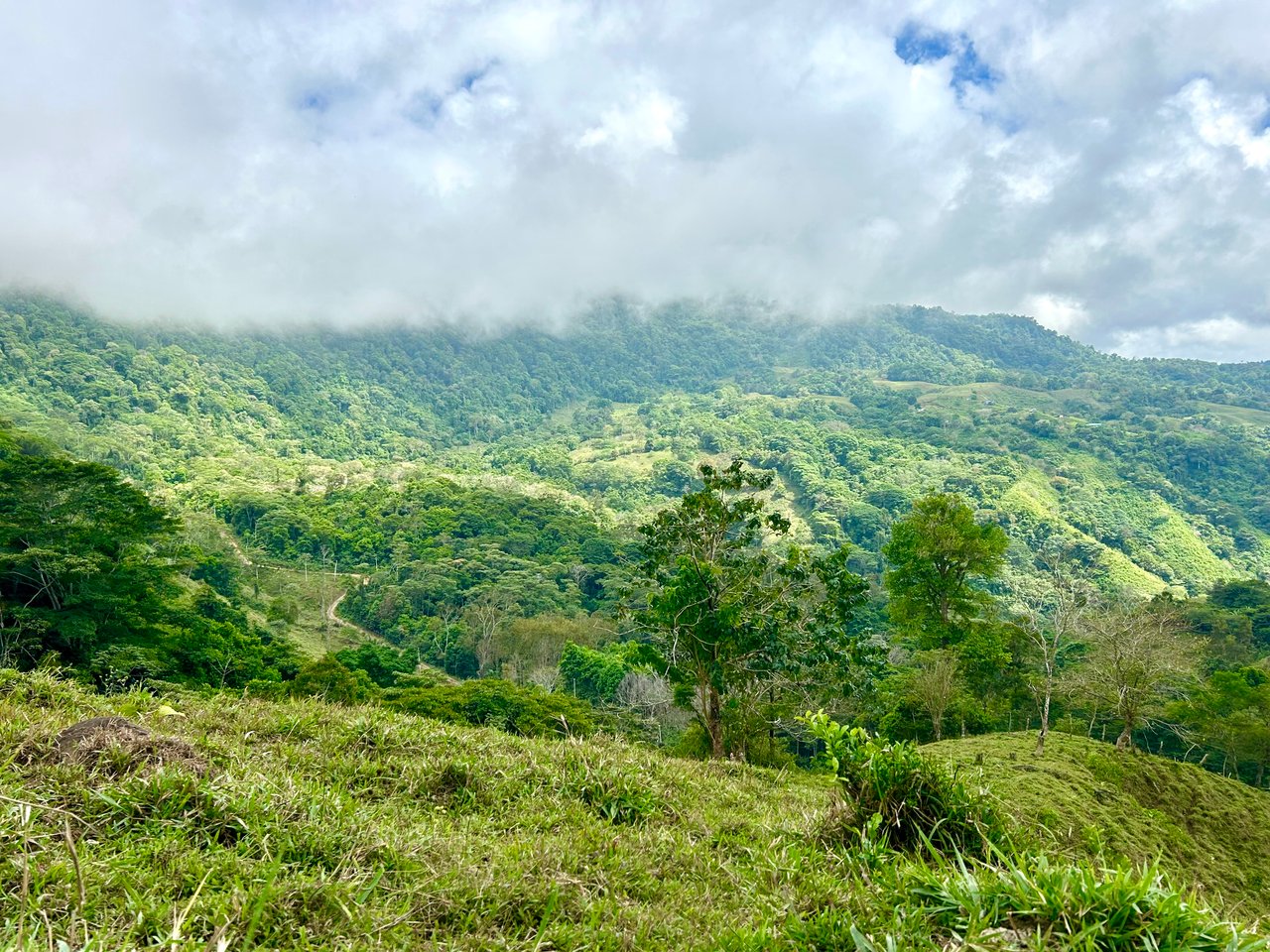 Gorgeous Land in San Luis Morete - Uvita - Over 17 Acres