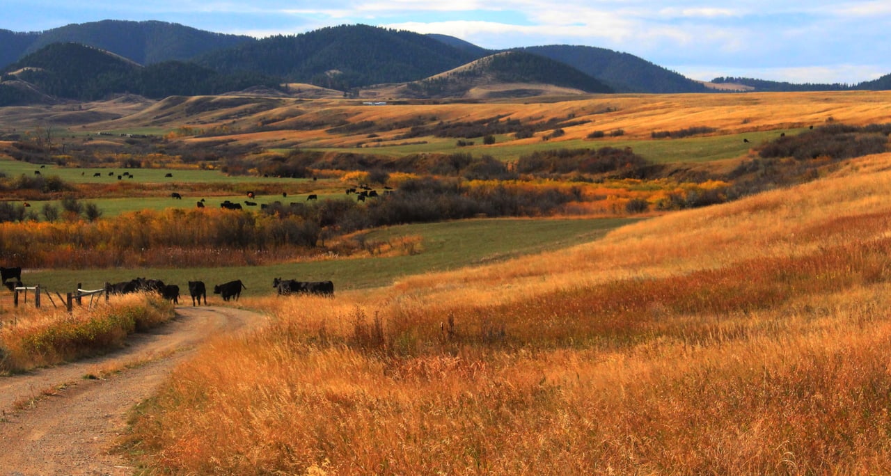 Lewistown